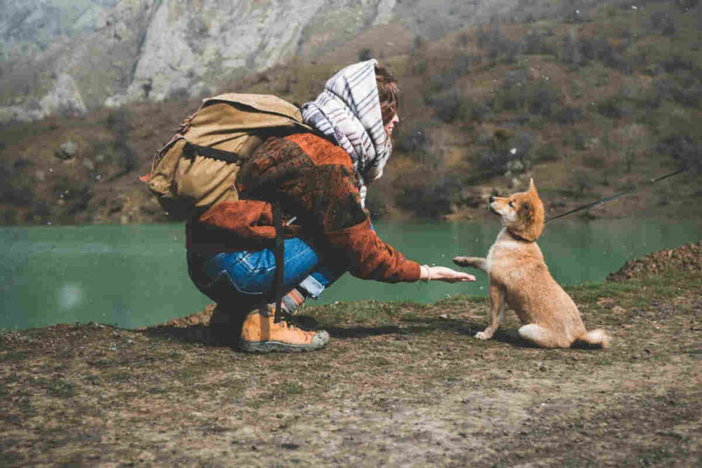 In montagna con il cane