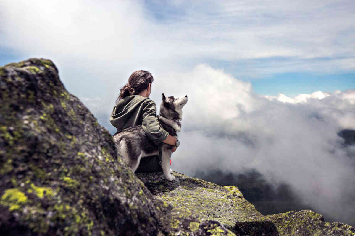 Vacanza in montagna con il cane