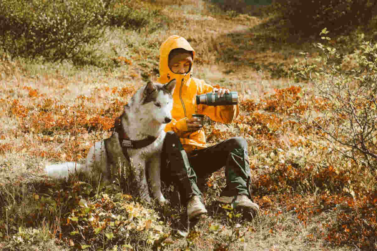 Vacanze in montagna con il cane