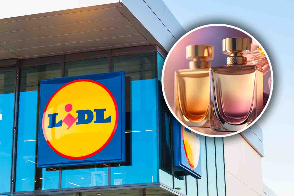 Profumi Lidl a quali famosi corrispondono