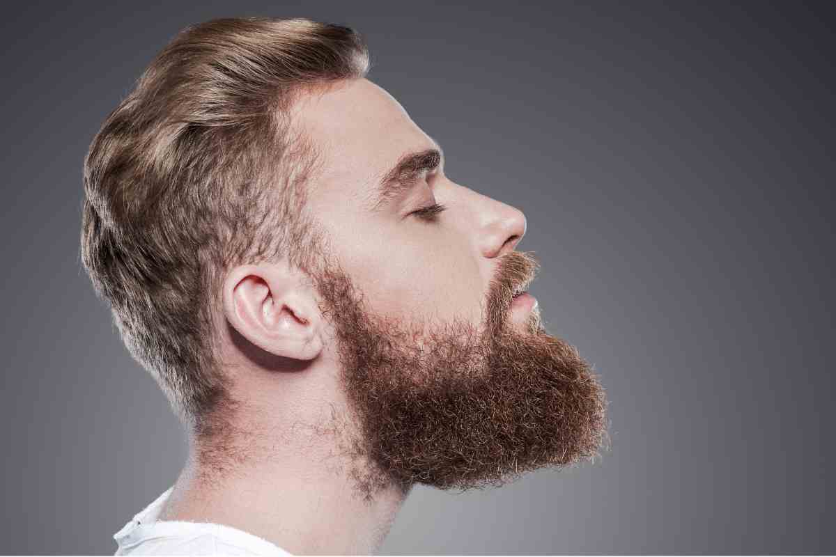 facial shape barba capelli