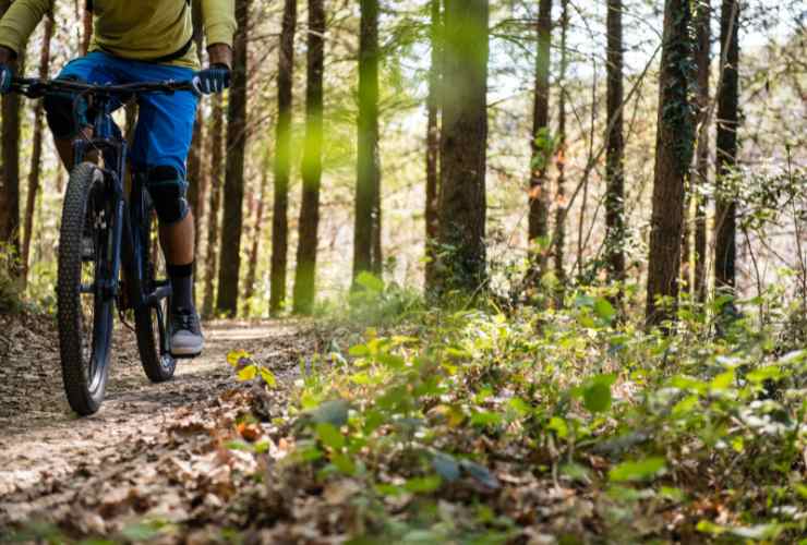 uomo in mountain bike nel bosco