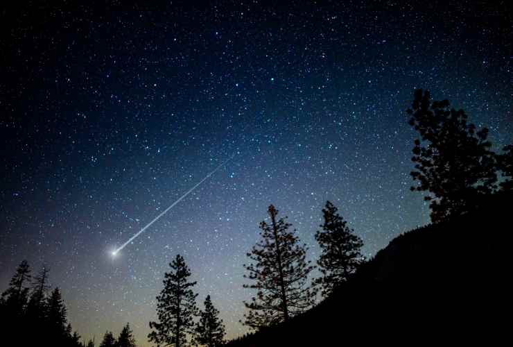 cielo stellato nel bosco con stella cadente