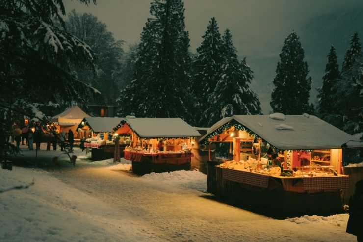 casette di legno sulla neve