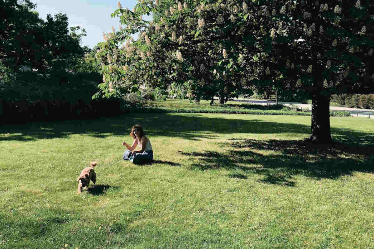 Ragazza con cagnolino su un prato