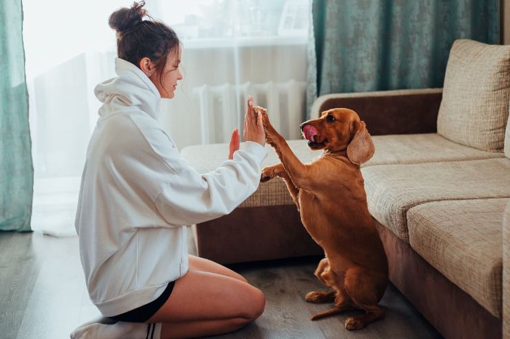 persona a terra in ginocchio che gioca con il suo cane 