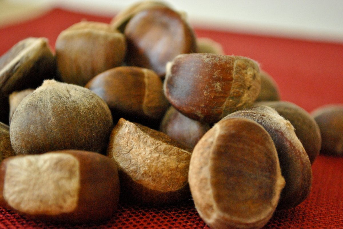 Castagne Bollite Pourfemme