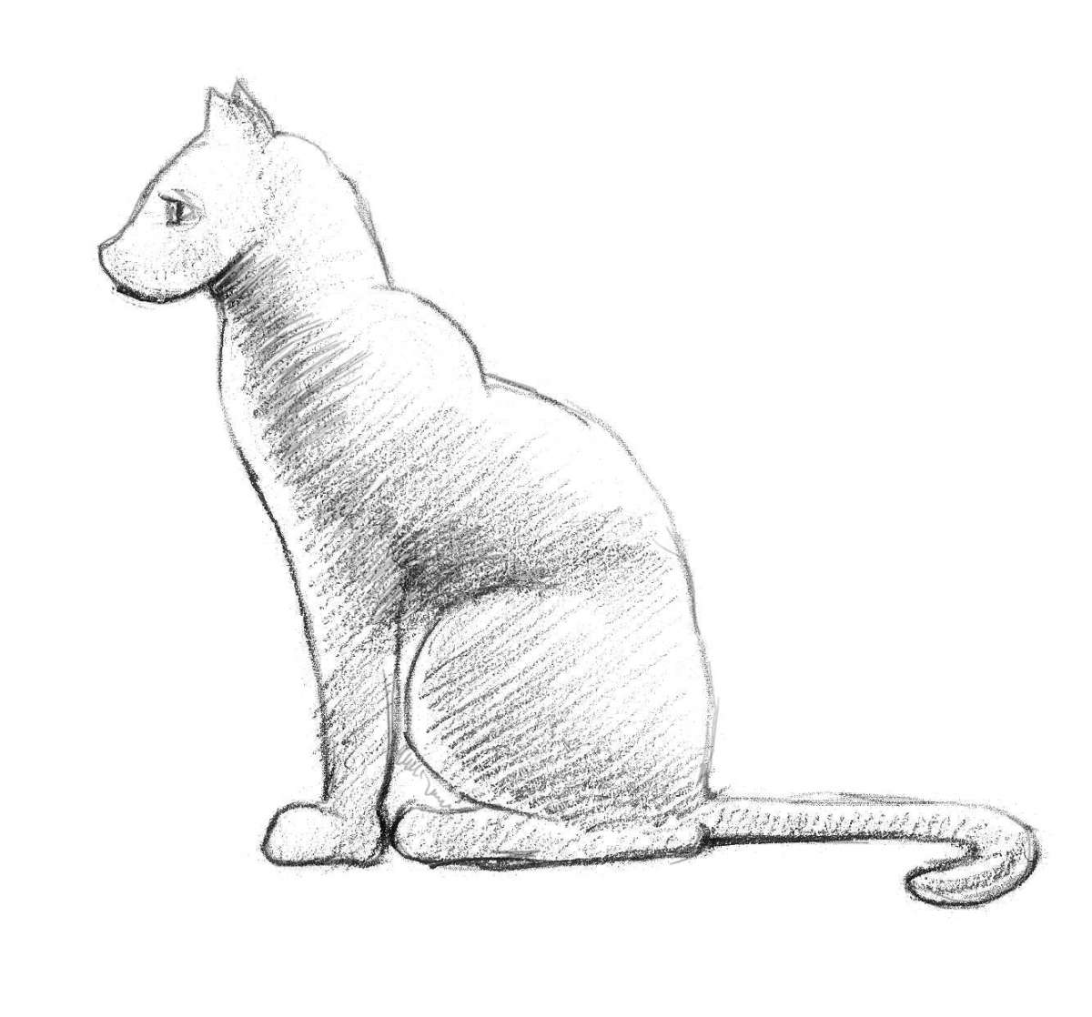 Disegni da colorare gatto