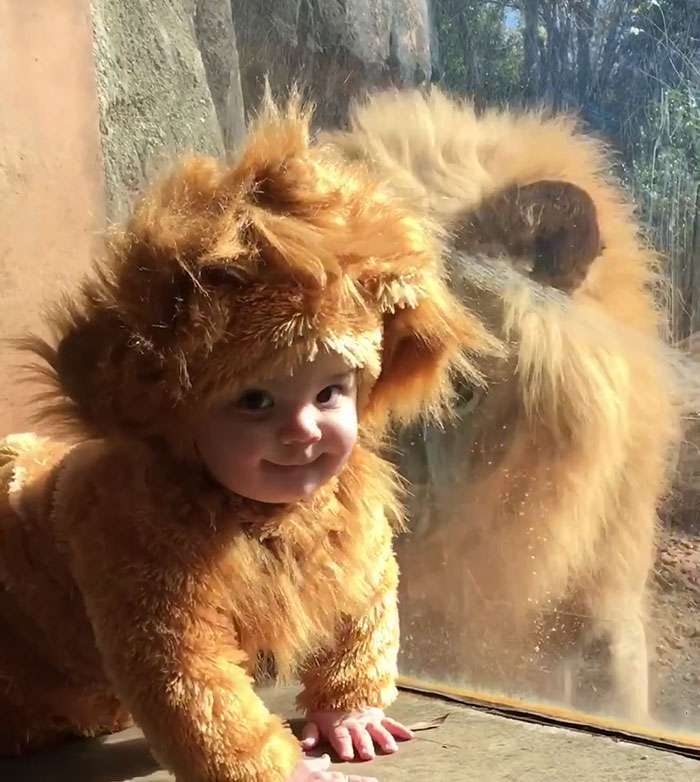 Costume da leone fai da te per bambini